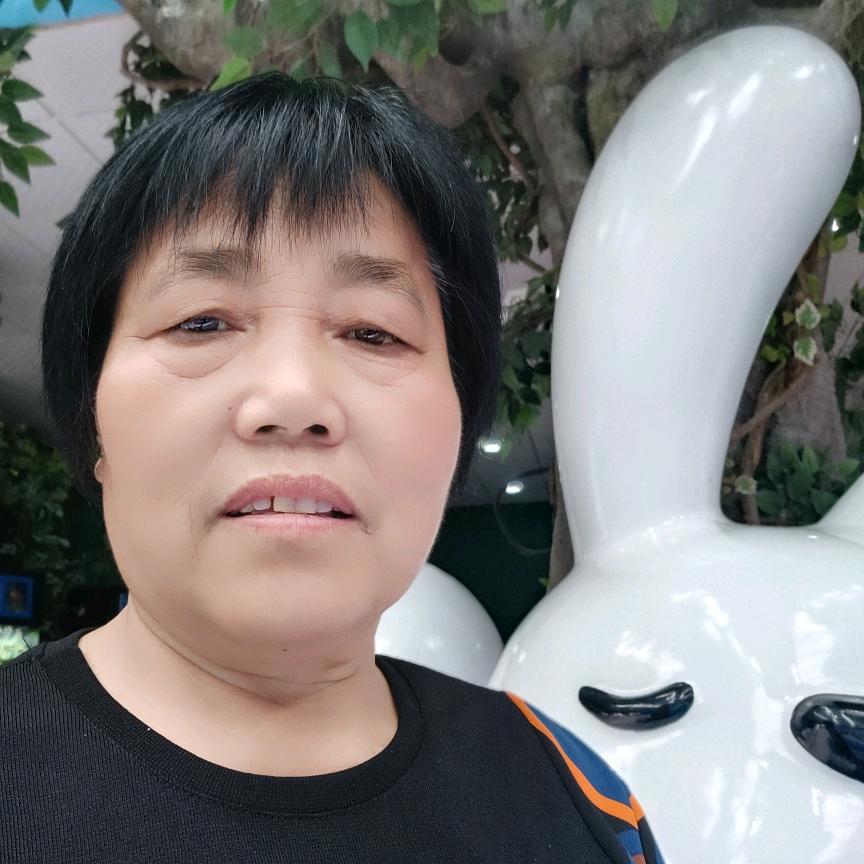 老来乐陈