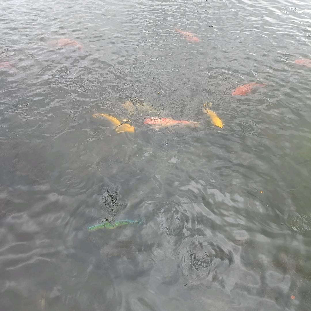 苗族汉子