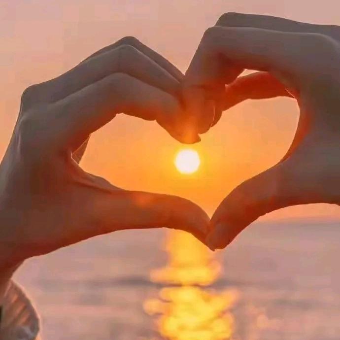竹风雅梦（互）