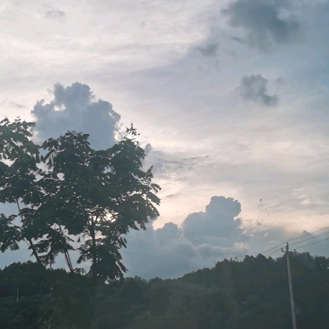 青春一去笑沧桑