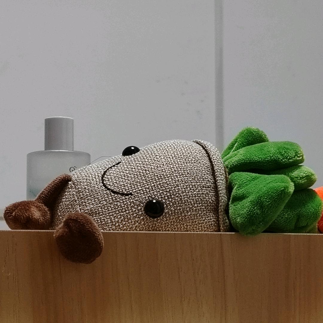 炎炎的小太阳