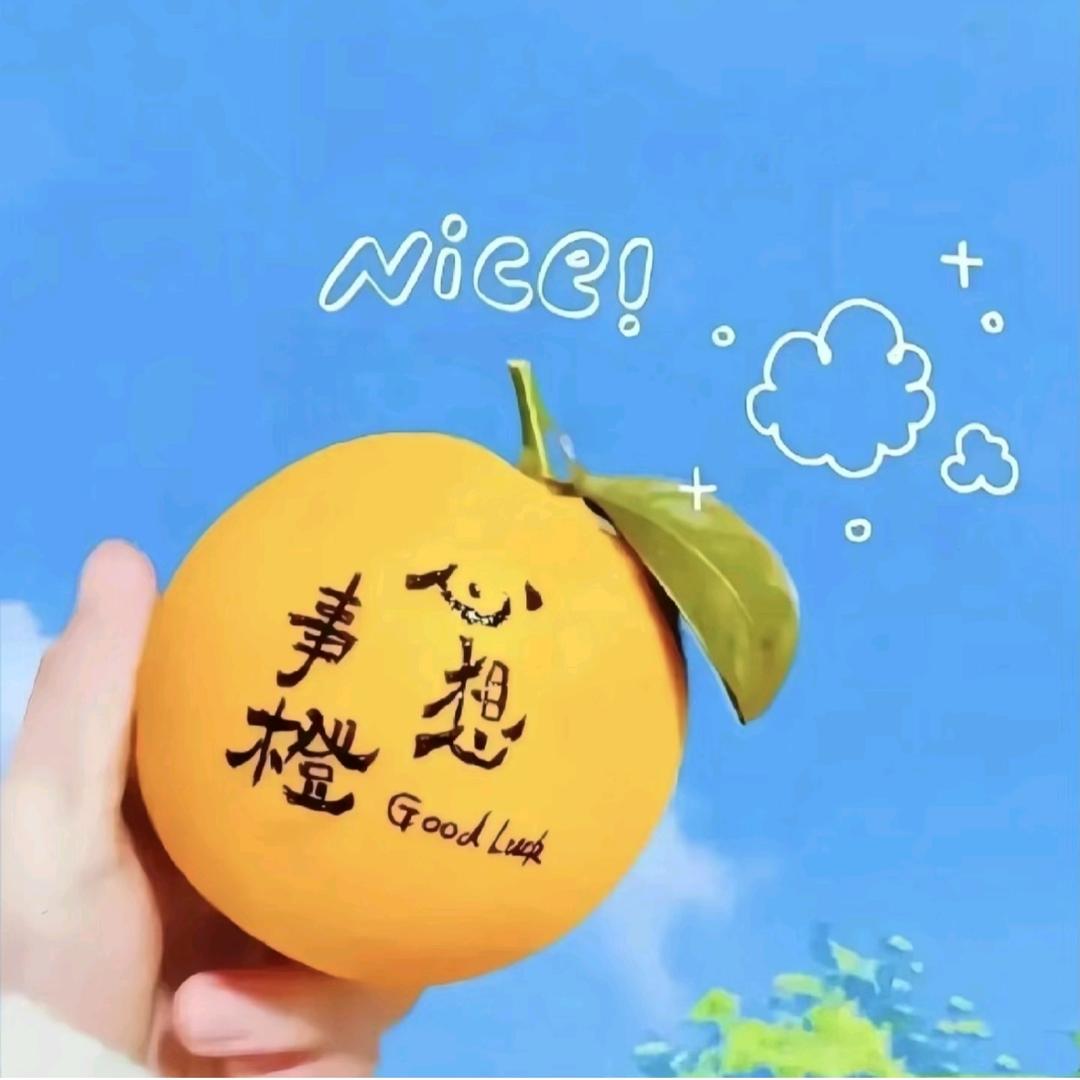 顺心如亿