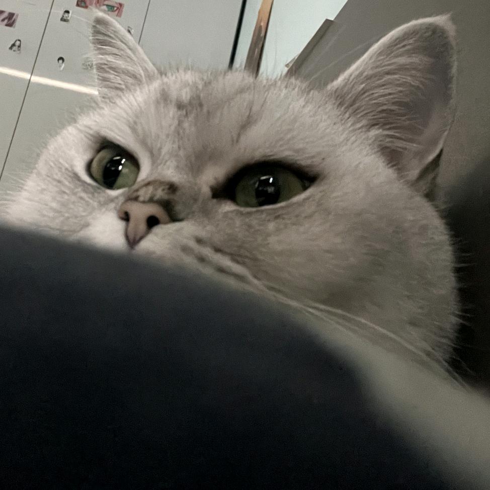 歪比巴卜