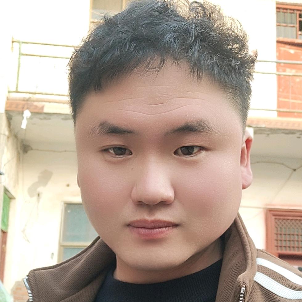 农村人，王振东