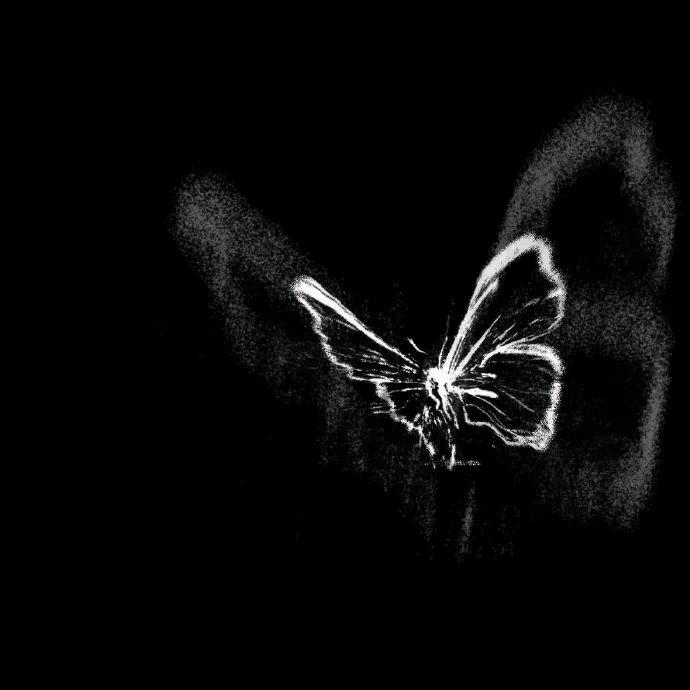 ℒ𝒾𝓃 ᥫᩣshuang