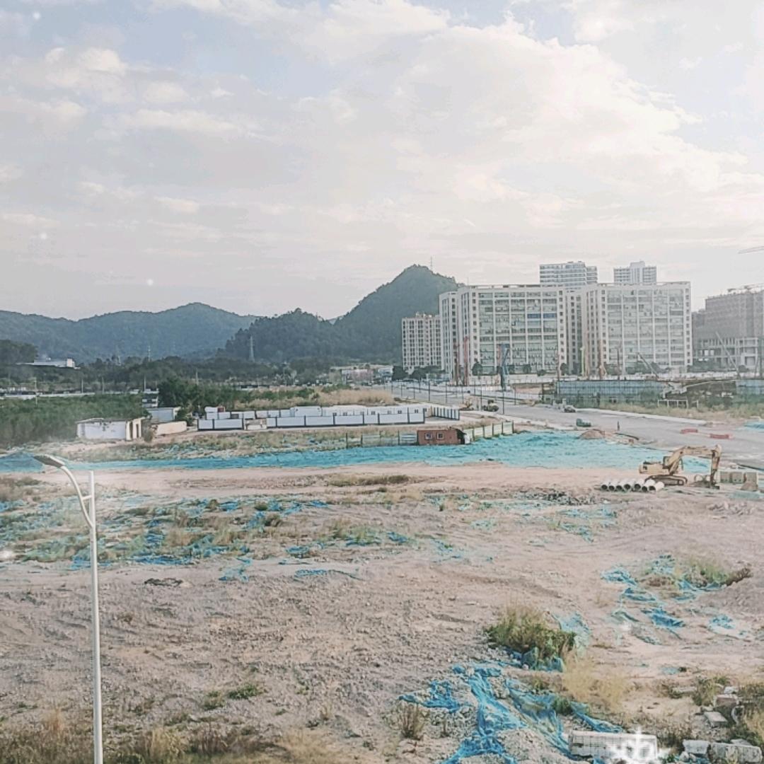 伟伟！！！！您关注，从此不再碰感情。！