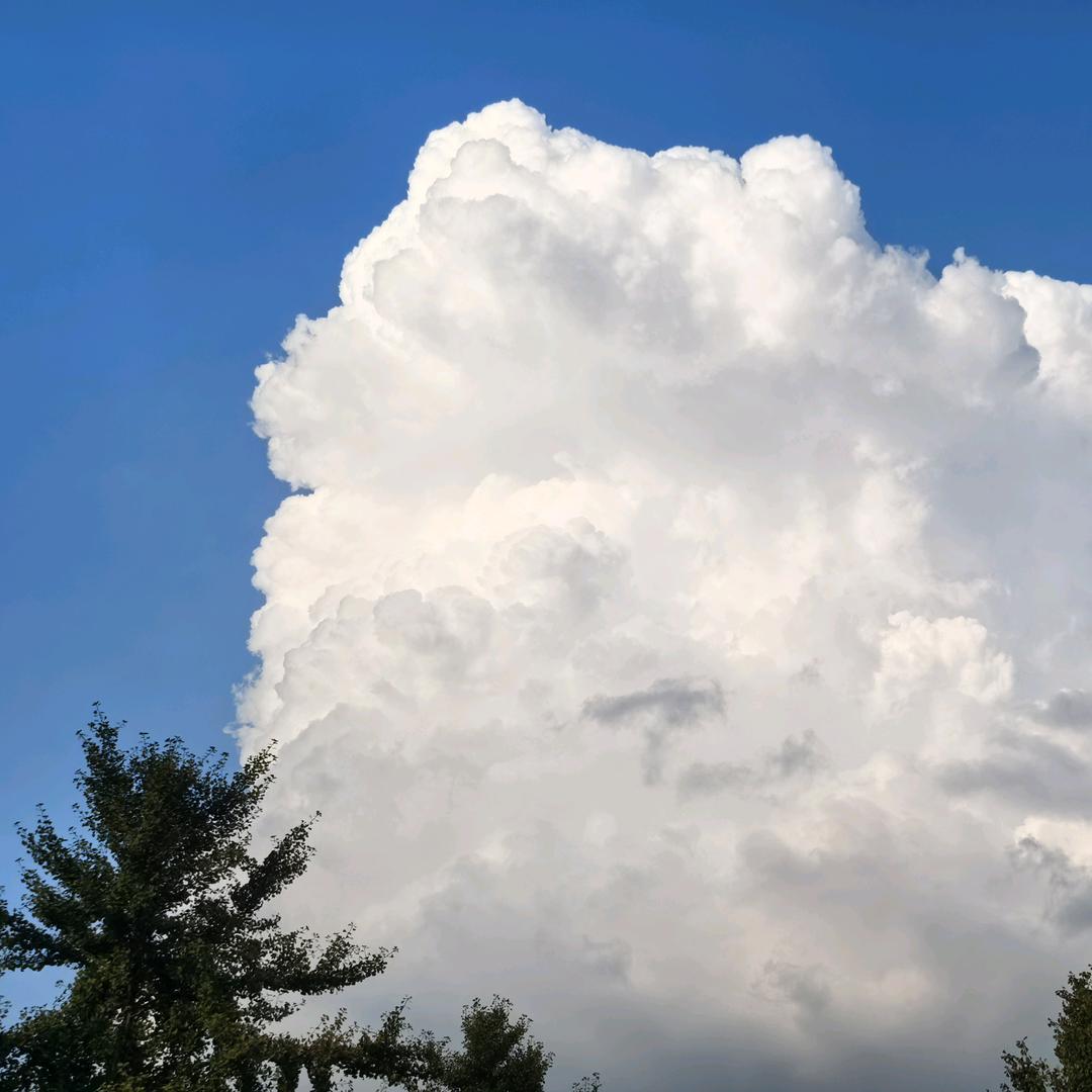 太阳暴晒下一座漂浮在北冰洋海面上的🧊
