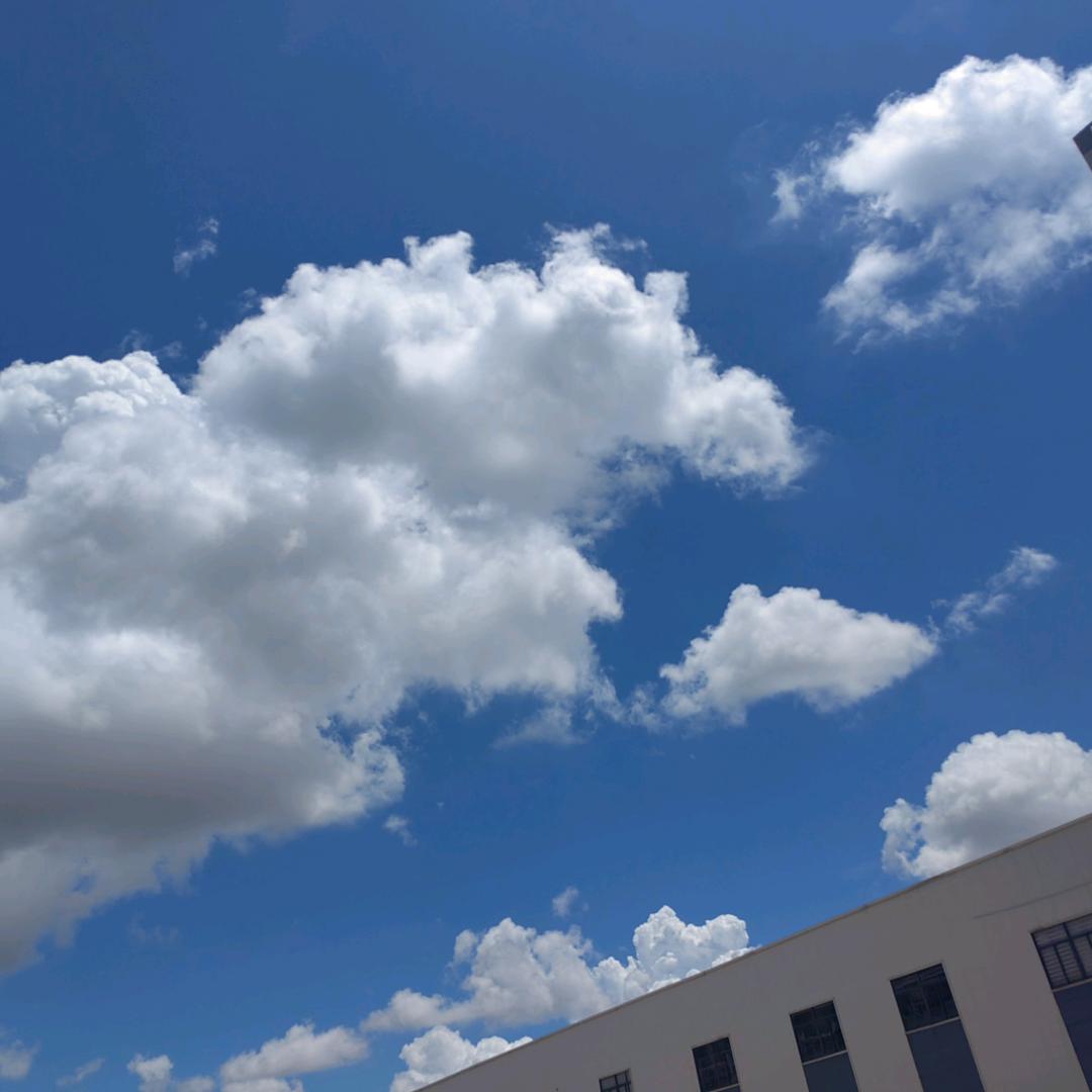 一天更比一天好