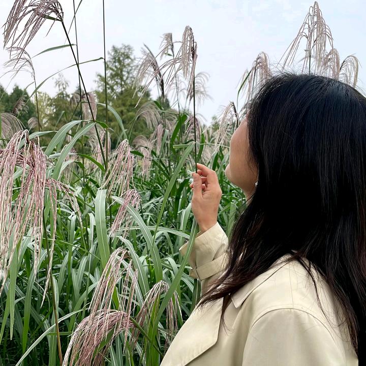 子安🌺