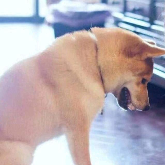 油条腰不好(腰突保守中)