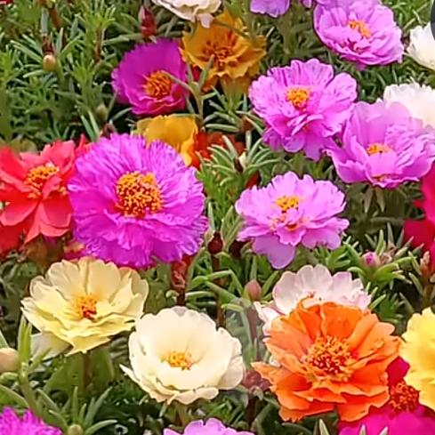 工地上班的小亮