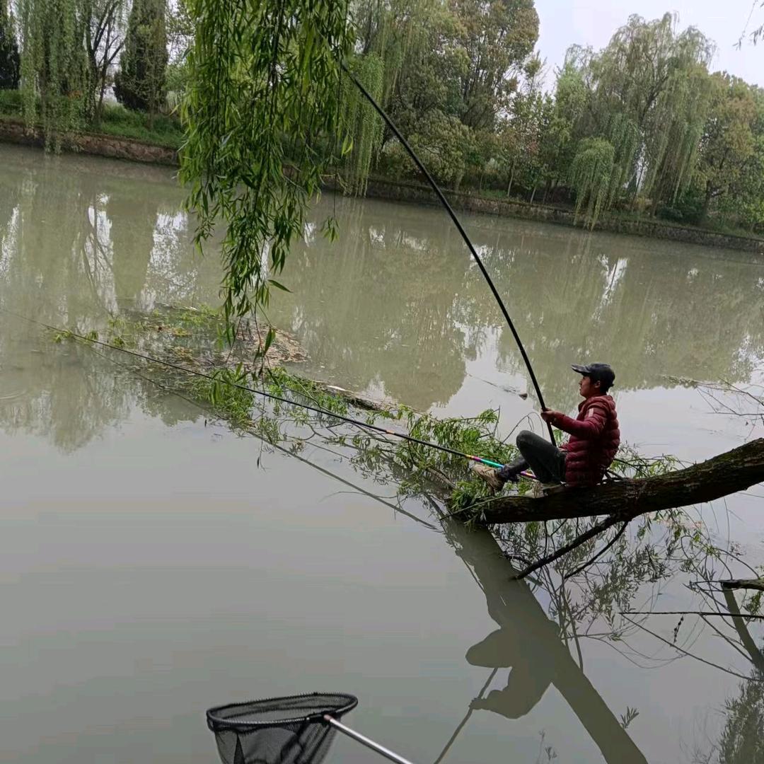 🎣空军⤘凸鲫隊🚸