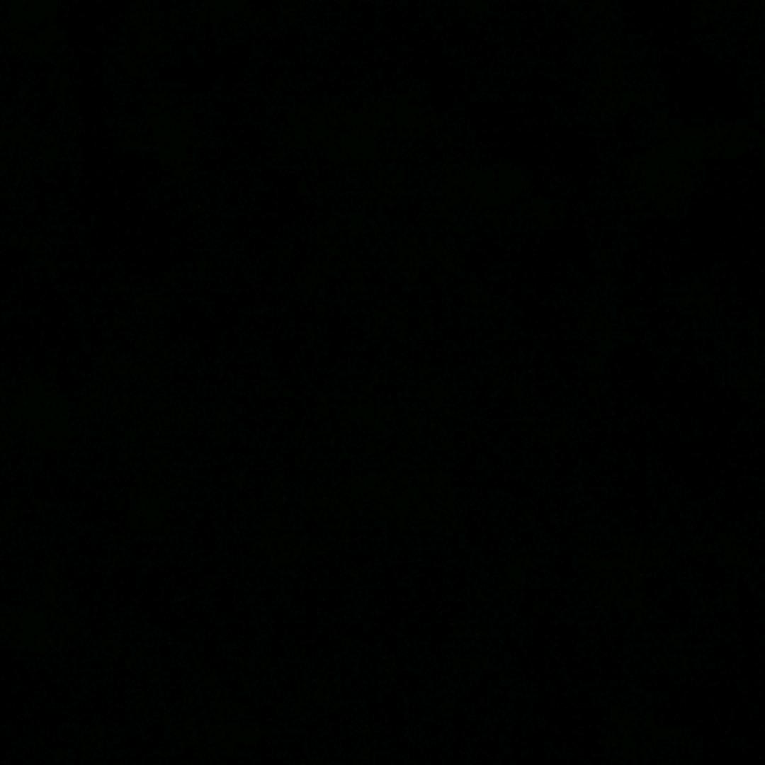 55875698800