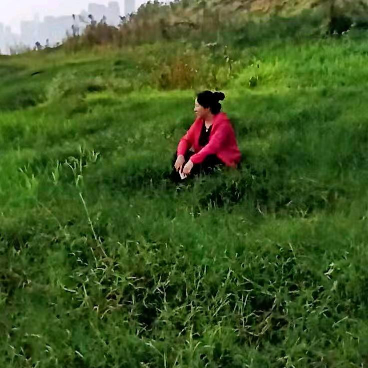 平平淡淡才是真