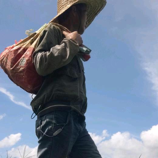 老八户外