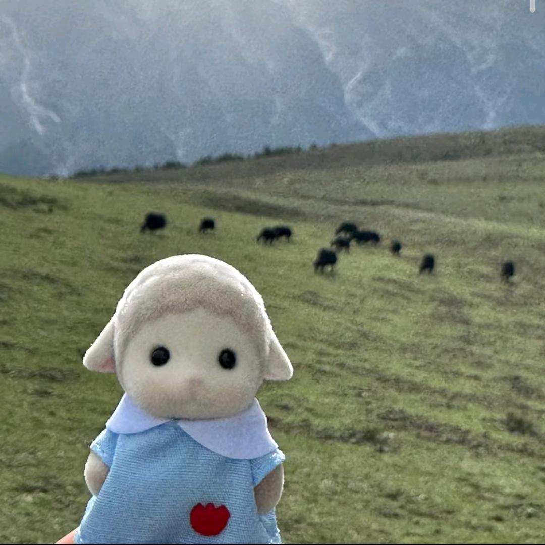 老婆为男模喝敌敌畏死了而我在沈阳混吃混喝