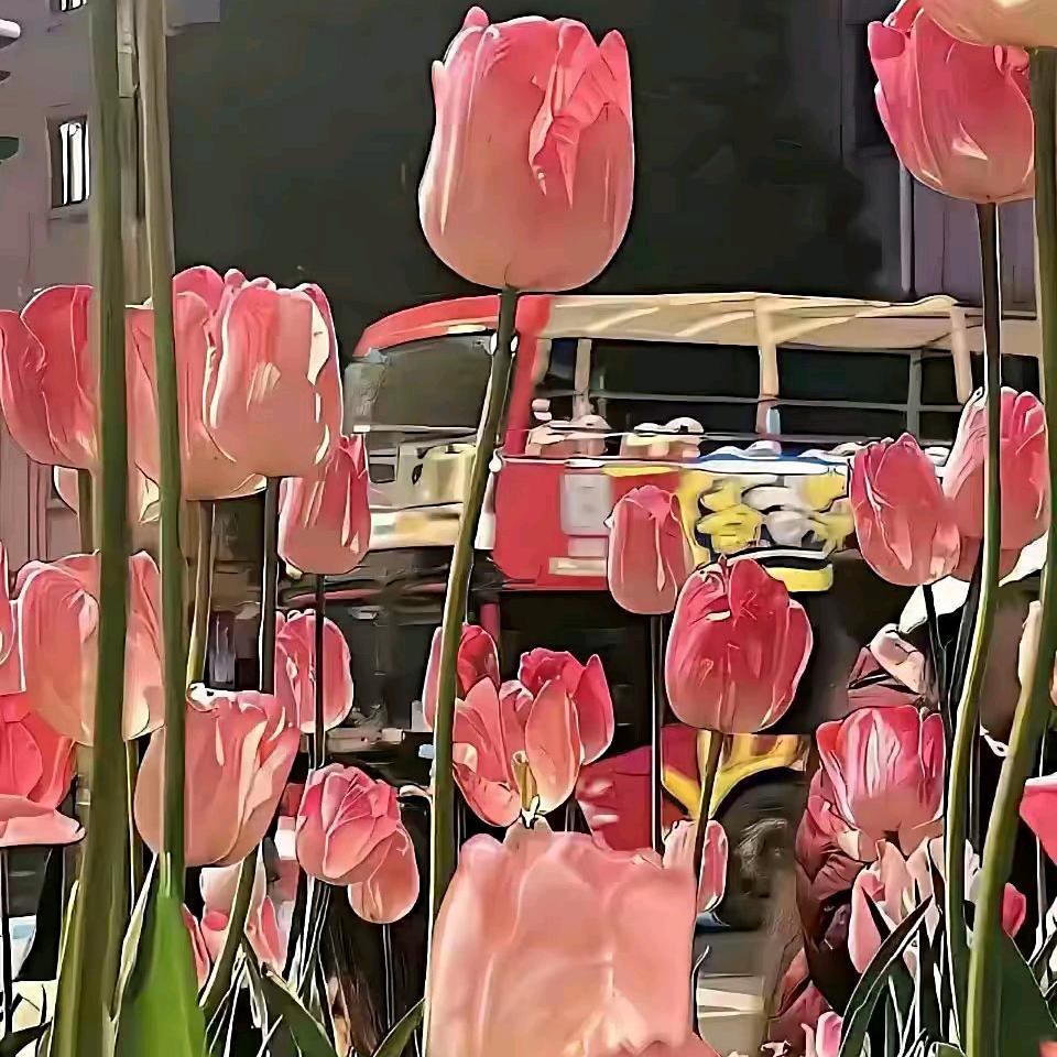 潘西田家牛羊肉