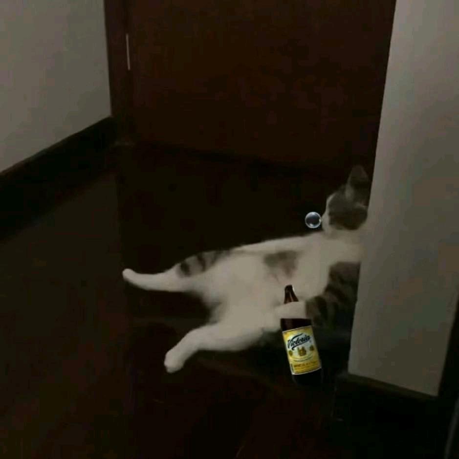 嘻嘻