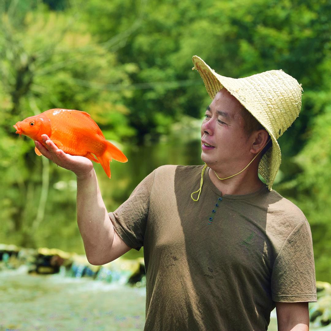 婺源胡哥荷包红鲤鱼