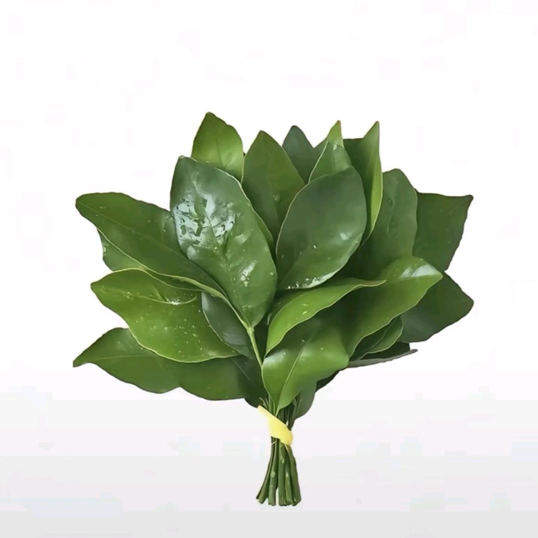 顾一、