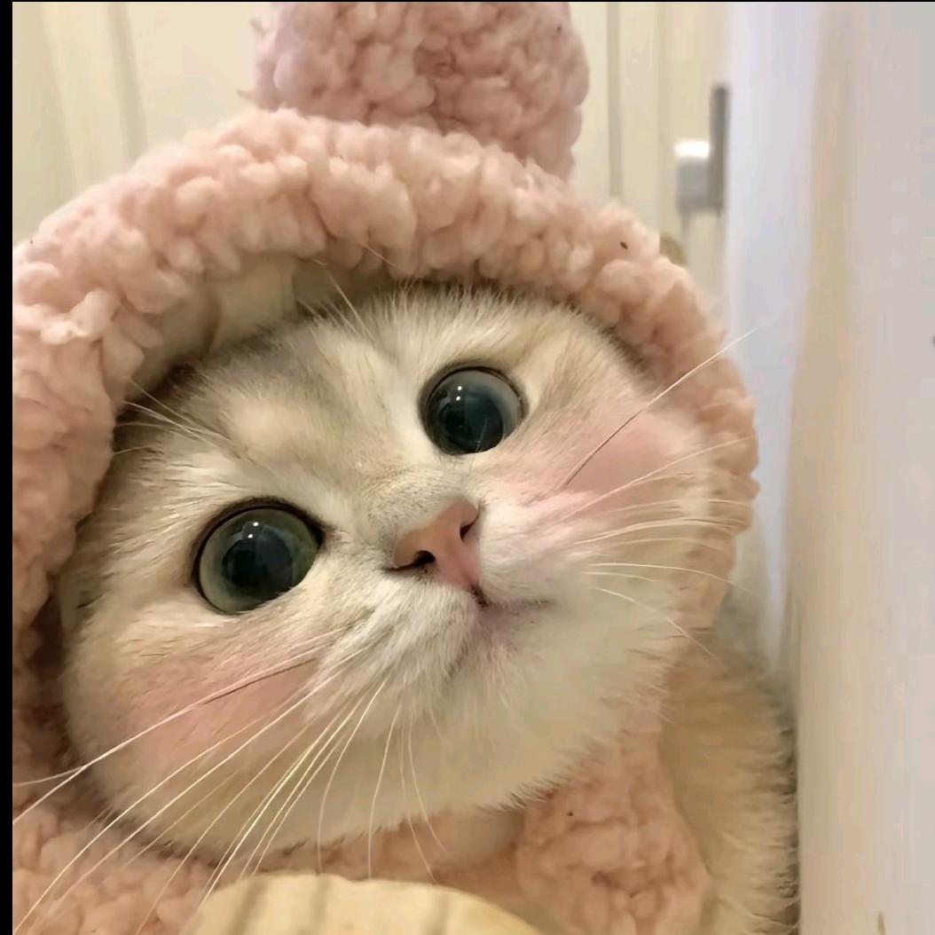 废废鼠