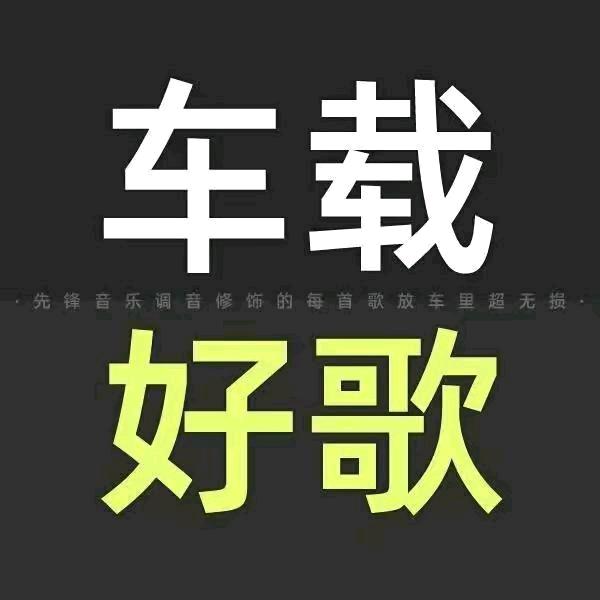 调音师的🚗调音歌曲