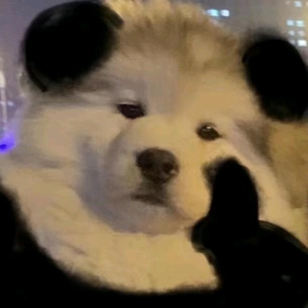 宁明（三角洲行动）