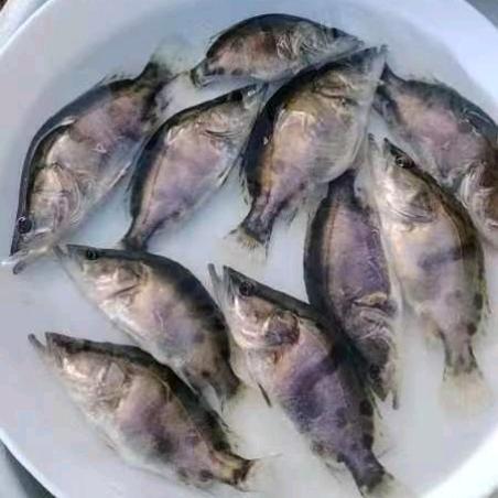 ❤️顺其自然