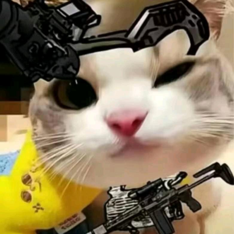 ecvg
