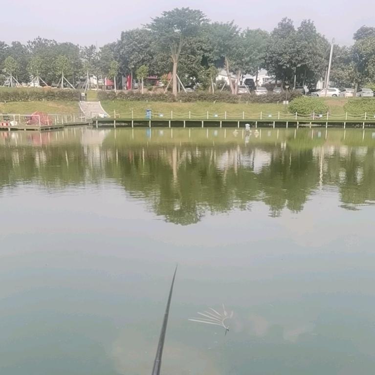 用户158746884