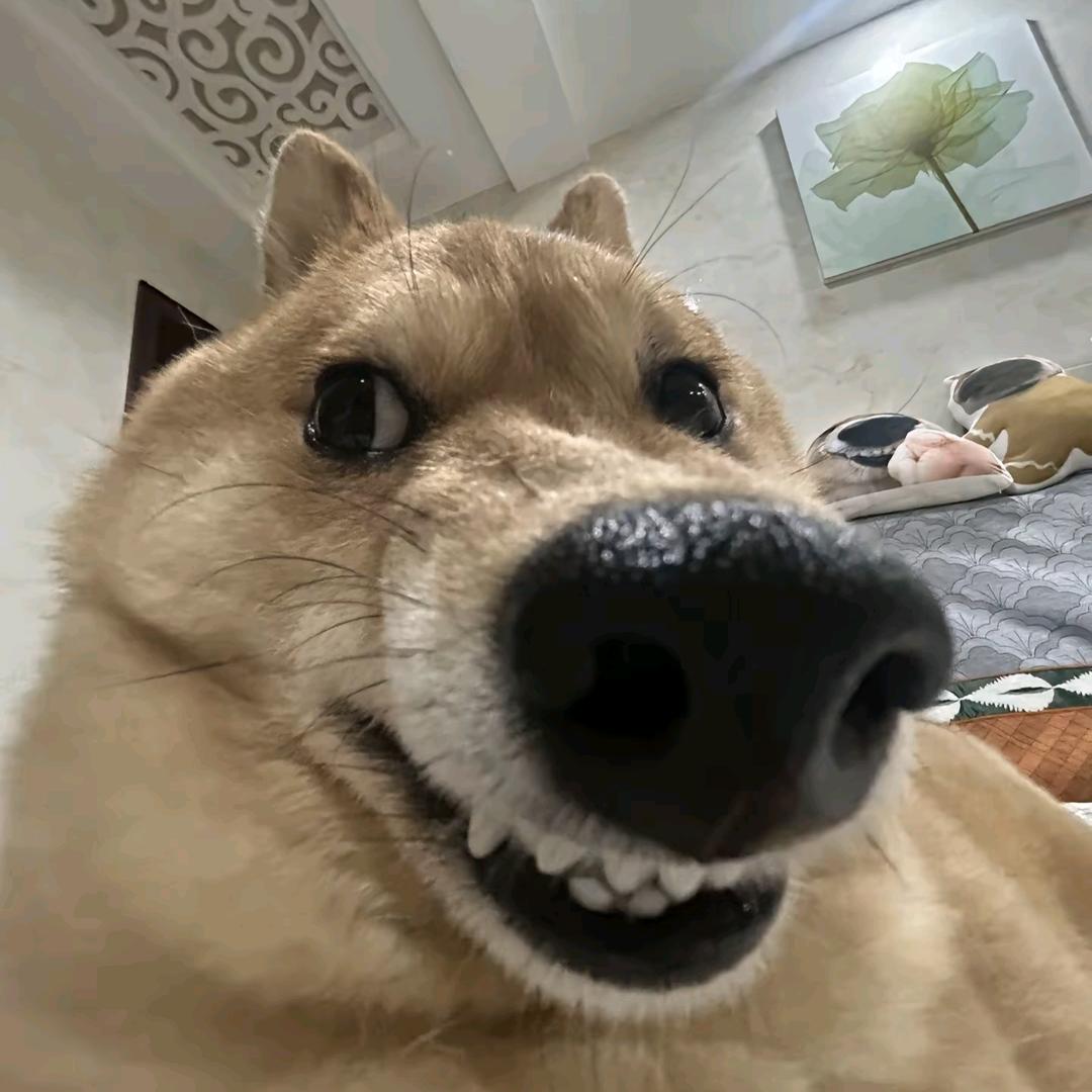 AA-空调维修