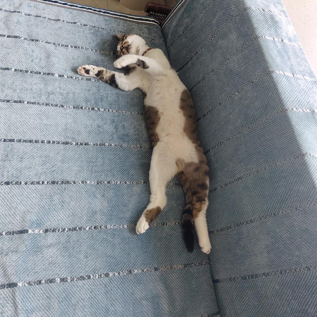 Miss清风徐徐
