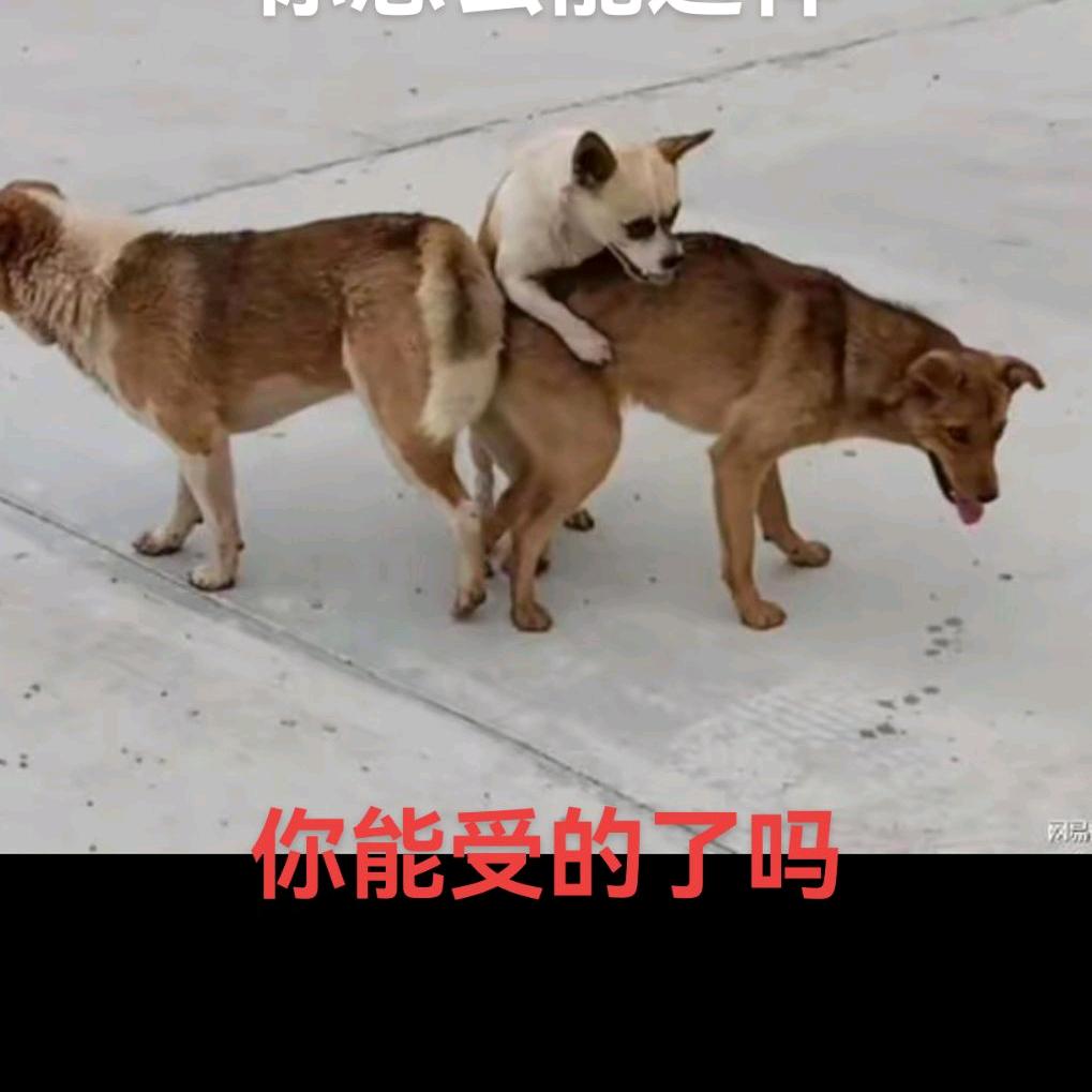 心宽路顺