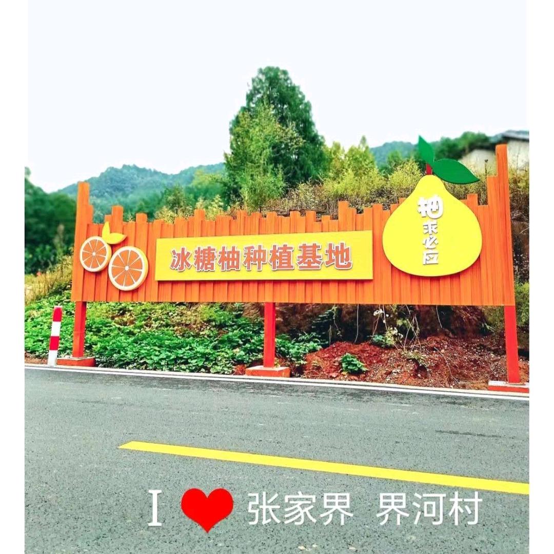 界河柚园基地袁丽芳