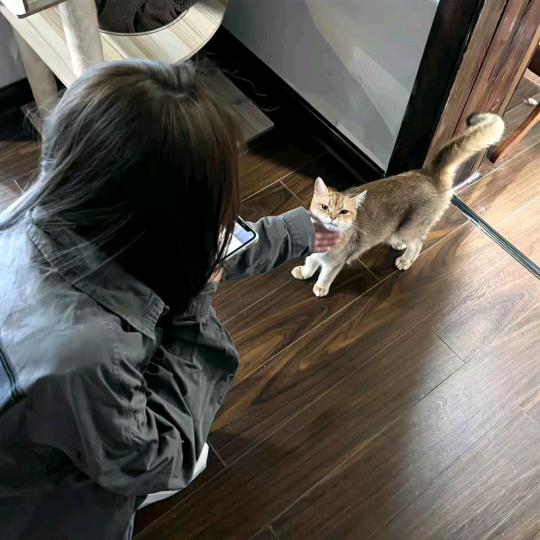 唸唸子