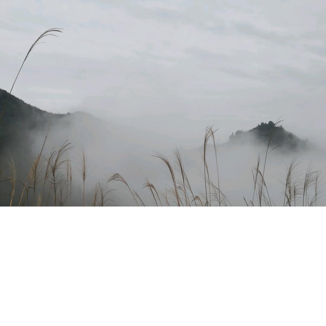布衣