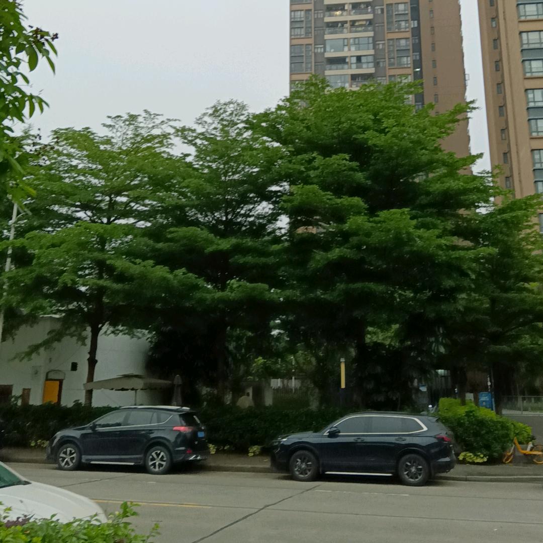 陈***