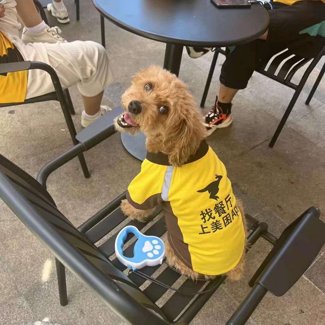 转身给你买橘子🍊