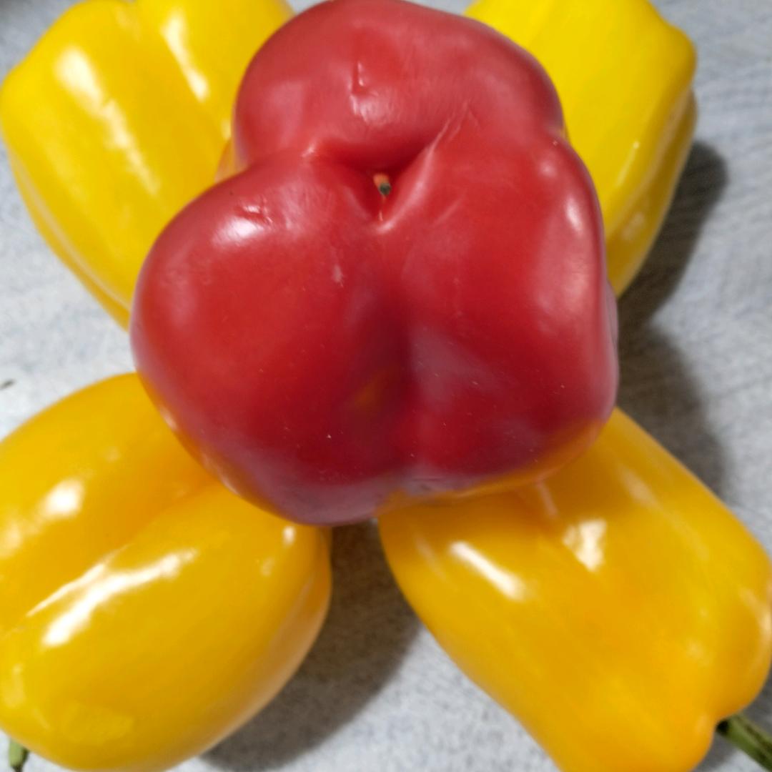 郸鹿两县？？？