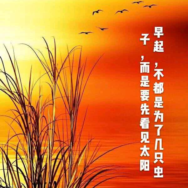 @想着你（小号）