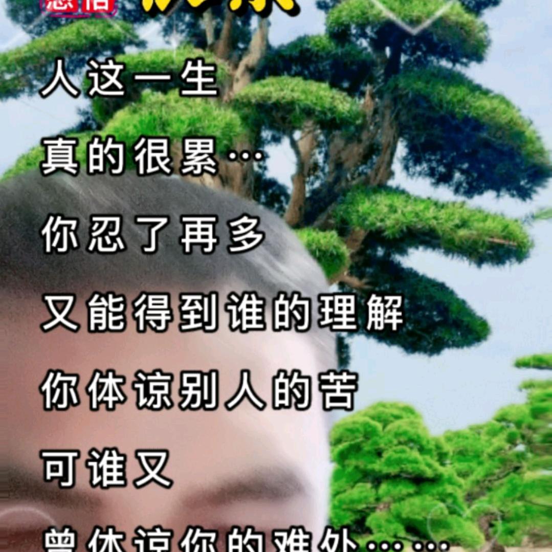 梦想成真