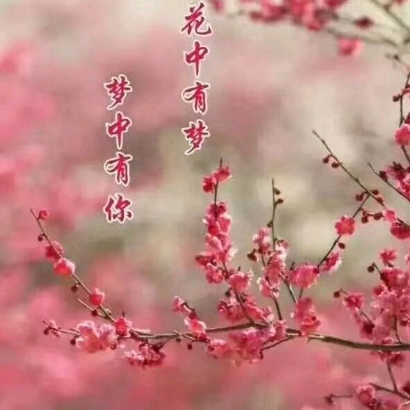 陪你疯陪你浪😽
