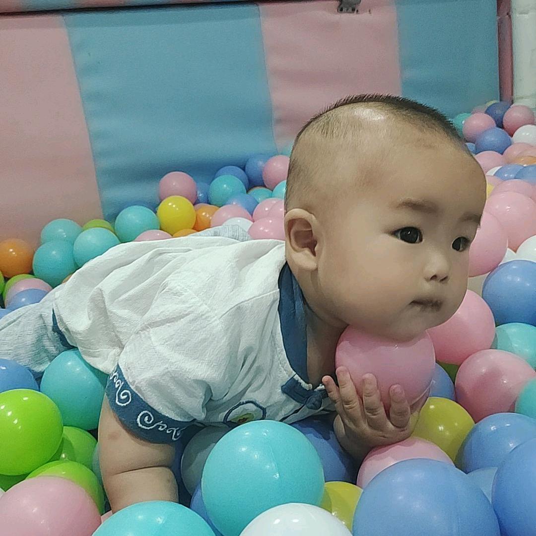 小短腿的“煤气罐”