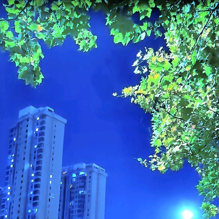 九九，