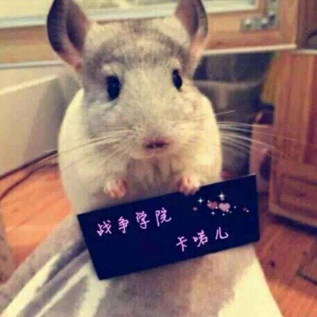 卡喏儿