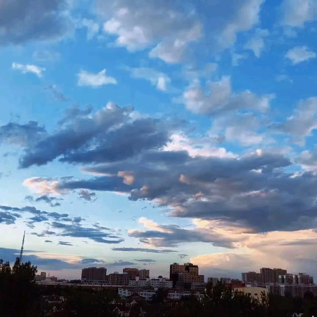 小言子爱玩游戏