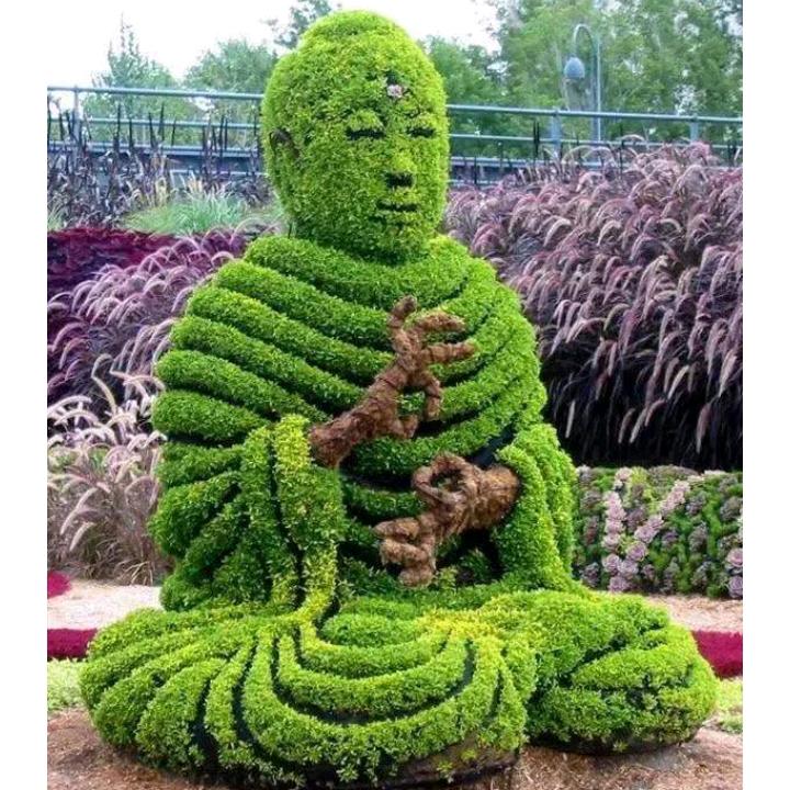 এᮁ໊⁵²⁰ꦿ高ꦿ້໌ᮨ࿐