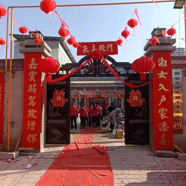 西安市老毛苗木专业合作社