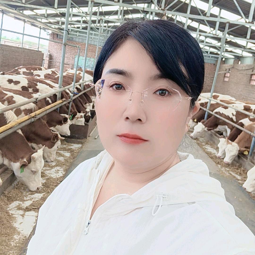 老战友肉牛养殖场