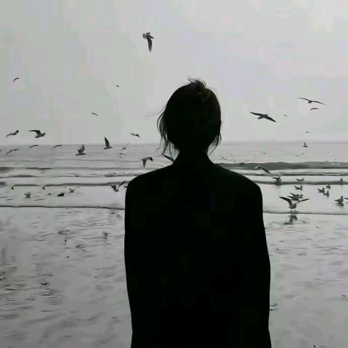 返璞归真深得我心